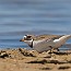 thumbs/IMG_6928.jpg